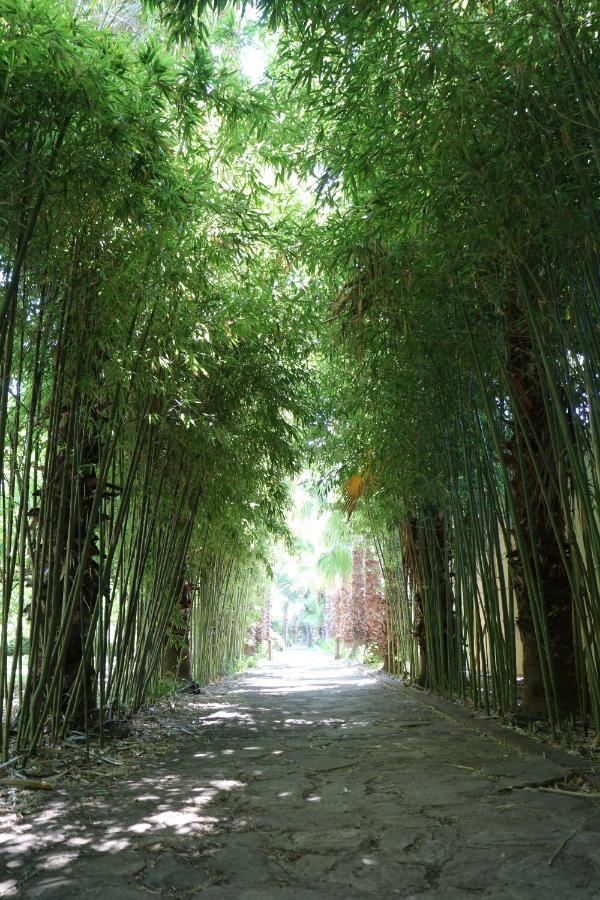Pinea Pansiyon เกเมร์ ภายนอก รูปภาพ